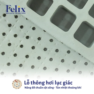Nệm Cao Su Thiên Nhiên Felix kháng cháy thoáng khí bền 20 năm giao nhanh giảm 20% 4