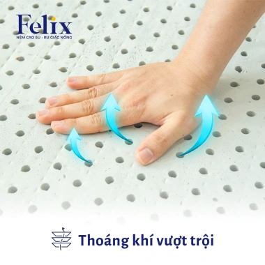 Nệm Cao Su Thiên Nhiên Felix kháng cháy thoáng khí bền 20 năm giao nhanh giảm 20% 5