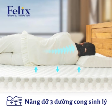 Nệm Cao Su Thiên Nhiên Felix kháng cháy thoáng khí bền 20 năm giao nhanh giảm 20% 6