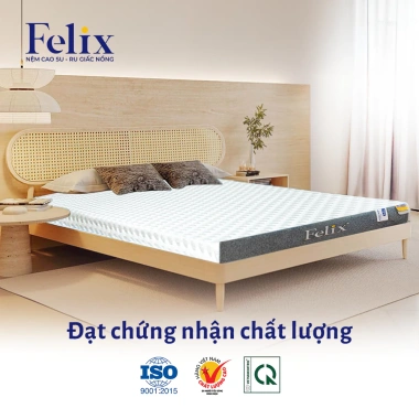 Nệm Cao Su Thiên Nhiên Felix kháng cháy thoáng khí bền 20 năm giao nhanh giảm 20% 8