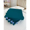 Nệm Cao Su Thiên Nhiên FELIX ZEN 100% Thoáng Khí, Êm Ái, Đỡ Lưng Yoga, Bảo Hành 20 Năm - Giá 989.000đ 7