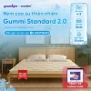 Nệm Cao Su Thiên Nhiên Gummi Standard 2.0 10cm - Vua Nệm, Tặng Gối, Giá 6.3 triệu