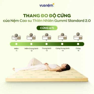 Nệm Cao Su Thiên Nhiên Gummi Standard 2.0 10cm - Vua Nệm, Tặng Gối, Giá 6.3 triệu 2