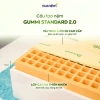 Nệm Cao Su Thiên Nhiên Gummi Standard 2.0 10cm - Vua Nệm, Tặng Gối, Giá 6.3 triệu 3