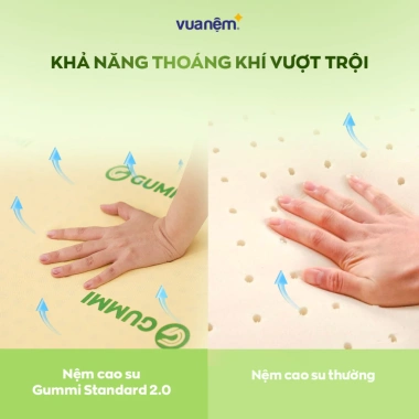 Nệm Cao Su Thiên Nhiên Gummi Standard 2.0 10cm - Vua Nệm, Tặng Gối, Giá 6.3 triệu 4