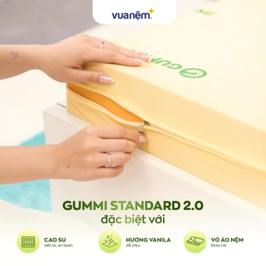 Nệm Cao Su Thiên Nhiên Gummi Standard 2.0 10cm - Vua Nệm, Tặng Gối, Giá 6.3 triệu 6