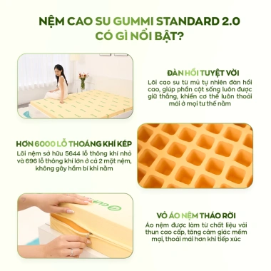Nệm Cao Su Thiên Nhiên Gummi Standard 2.0 10cm - Vua Nệm, Tặng Gối, Giá 6.3 triệu 7