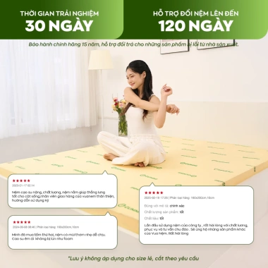 Nệm Cao Su Thiên Nhiên Gummi Standard 2.0 10cm - Vua Nệm, Tặng Gối, Giá 6.3 triệu 8