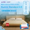 Nệm Cao Su Thiên Nhiên Gummi Standard 2.0 10cm - Vua Nệm, Tặng Gối, Giá 6.3 triệu 9
