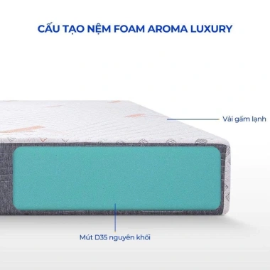 Nệm Foam Aroma Luxury Plus nguyên khối đàn hồi - Hỗ trợ nâng đỡ, giảm đau lưng, bảo hành 10 năm - 3.58tr 2
