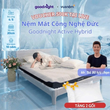 Nệm Foam Goodnight Active Hybrid 20cm mát tới 12h, than đá, giảm giá 9,059,000đ
