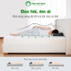 Nệm Foam Việt Nhật Sora - Bảo hành 10 năm, hỗ trợ nâng đỡ, êm ái, mềm mại, đa kích thước, giá 1.61 triệu 4