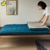 Nệm Gấp Topper Tiện Lợi - Giá 188k, Phù Hợp Văn Phòng, Du Lịch, Ký Túc Xá 9