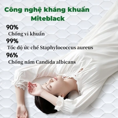 Nệm lò xo KADE 19cm liên kết - Nâng đỡ giấc ngủ, giá tốt, bảo hành 10 năm