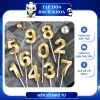 Nến Số Nhũ Mẫu To Trang Trí Bánh Kem Đèn Cầy Sinh Nhật – Giá Chỉ 3.920₫