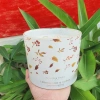 Nến Thơm Floris 1.250g 4 Bấc Loại Lớn Hương Tự Nhiên Cao Cấp Australia Bloom Of Scent Giá 990.000 VND 2