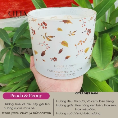 Nến Thơm Floris 1.250g 4 Bấc Loại Lớn Hương Tự Nhiên Cao Cấp Australia Bloom Of Scent Giá 990.000 VND 5 Nến Thơm Floris 1.250g 4 Bấc Loại Lớn Hương Tự Nhiên Cao Cấp Australia Bloom Of Scent Giá 990.000 VND 5
