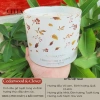 Nến Thơm Floris 1.250g 4 Bấc Loại Lớn Hương Tự Nhiên Cao Cấp Australia Bloom Of Scent Giá 990.000 VND 10