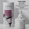 Nến Thơm Hũ Thạch Cao Tượng David CITTA - Phong Cách Nghệ Thuật Vintage, Hương Thơm Lâu Dài, Giá Ưu Đãi 225k 9