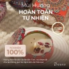 Nến thơm phòng cao cấp BOUSE CONCEPT 15 - Thơm phòng, khử mùi, không khói, quà tặng, giảm giá 24.300đ 4