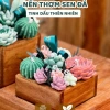 Nến Thơm Sen Đá Binihandcrafted - Quà Tặng Sinh Nhật, Đối Tác, Tân Gia, Tinh Dầu Thiên Nhiên, Giá Ưu Đãi 427.500VND