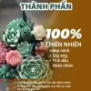 Nến Thơm Sen Đá Binihandcrafted - Quà Tặng Sinh Nhật, Đối Tác, Tân Gia, Tinh Dầu Thiên Nhiên, Giá Ưu Đãi 427.500VND 2