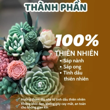 Nến Thơm Sen Đá Binihandcrafted - Quà Tặng Sinh Nhật, Đối Tác, Tân Gia, Tinh Dầu Thiên Nhiên, Giá Ưu Đãi 427.500VND