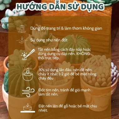Nến Thơm Sen Đá Binihandcrafted - Quà Tặng Sinh Nhật, Đối Tác, Tân Gia, Tinh Dầu Thiên Nhiên, Giá Ưu Đãi 427.500VND