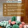 Nến Thơm Sen Đá Binihandcrafted - Quà Tặng Sinh Nhật, Đối Tác, Tân Gia, Tinh Dầu Thiên Nhiên, Giá Ưu Đãi 427.500VND 6