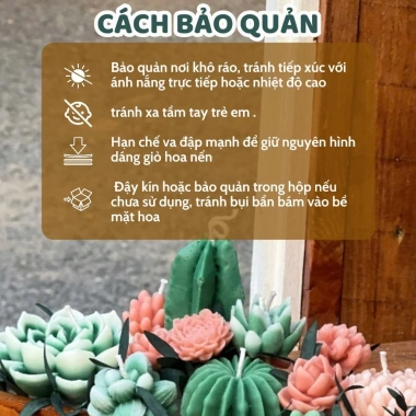 Nến Thơm Sen Đá Binihandcrafted - Quà Tặng Sinh Nhật, Đối Tác, Tân Gia, Tinh Dầu Thiên Nhiên, Giá Ưu Đãi 427.500VND