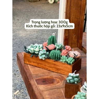 Nến Thơm Sen Đá Binihandcrafted - Quà Tặng Sinh Nhật, Đối Tác, Tân Gia, Tinh Dầu Thiên Nhiên, Giá Ưu Đãi 427.500VND 10 Nến Thơm Sen Đá Binihandcrafted - Quà Tặng Sinh Nhật, Đối Tác, Tân Gia, Tinh Dầu Thiên Nhiên, Giá Ưu Đãi 427.500VND 10