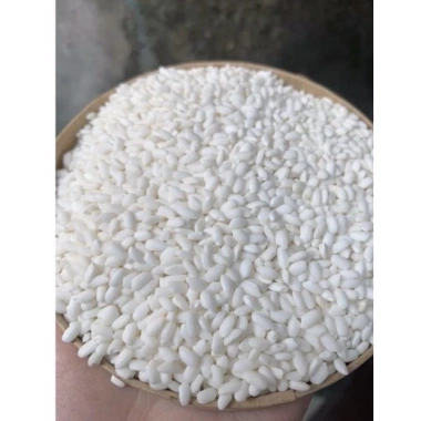 Nếp Bắc Đôi hạt to đẻo 1kg - Giá ưu đãi 45.000đ, chất lượng cao, thơm ngon