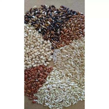 Nếp Cái Hoa Vàng 1kg - Canh Tác Thuận Tự Nhiên, Smile Farm KonTum, Giá 78.900 VND 4 Nếp Cái Hoa Vàng 1kg - Canh Tác Thuận Tự Nhiên, Smile Farm KonTum, Giá 78.900 VND 4