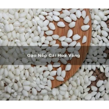 Nếp Cái Hoa Vàng (Nếp Bắc) 1kg - Gạo nếp thơm ngon, đặc sản miền Bắc, chất lượng cao, giá chỉ 39.000 VND giảm từ 47.190 VND