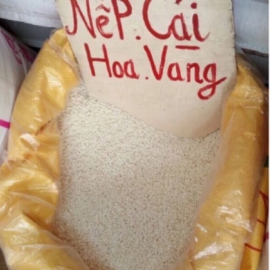 Nếp Cái Hoa Vàng - Nếp Việt Nam thơm dẻo, giá ưu đãi 49.000đ (giá gốc 63.700đ)