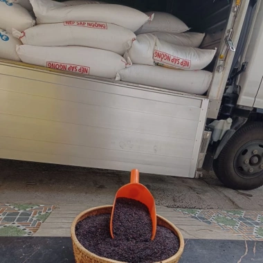 Nếp Cẩm Điện Biên 1kg Giá 25.000₫ Dùng làm xôi, chè, sữa chua, bánh, pha màu
