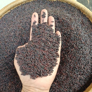 Nếp Cẩm Điện Biên 1kg Giá 25.000₫ Dùng làm xôi, chè, sữa chua, bánh, pha màu
