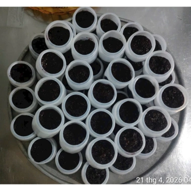 Nếp Cẩm Điện Biên 1kg Giá 25.000₫ Dùng làm xôi, chè, sữa chua, bánh, pha màu