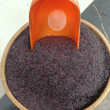 Nếp Cẩm Điện Biên 1kg Giá 25.000₫ Dùng làm xôi, chè, sữa chua, bánh, pha màu 10 Nếp Cẩm Điện Biên 1kg Giá 25.000₫ Dùng làm xôi, chè, sữa chua, bánh, pha màu 10