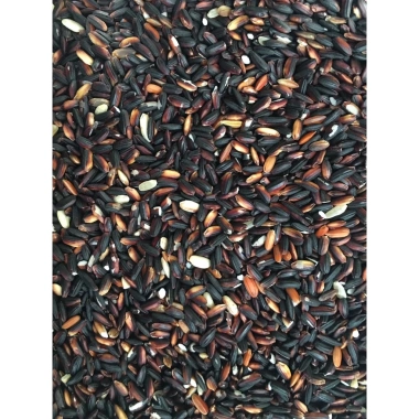 Nếp Cẩm Tây Bắc (Hảo Hạn) 1kg - Hạt ngon, thơm, giá ưu đãi 75k, giảm từ 93k