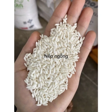 Nếp ngỗng 2kg - Nếp nấu xôi dẻo thơm, giá chỉ 52.000 VND (giảm từ 66.040) 2