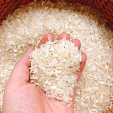 Nếp nương điện biên 1kg Ngon giòn, giá ưu đãi 40.000 đồng, giao nhanh