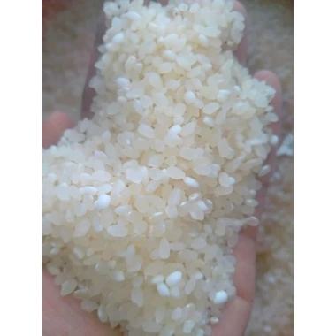 Nếp nương Lào 1Kg (nếp Kay nọi) - Giá chỉ 48.000 VND, giảm từ 58.560 VND, thơm ngon, chất lượng cao 2