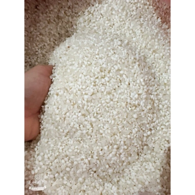Nếp Nương Lào 1kg - Nếp Mới Thơm Lừng, Tươi Ngon, Giá Ưu Đãi 41.999₫
