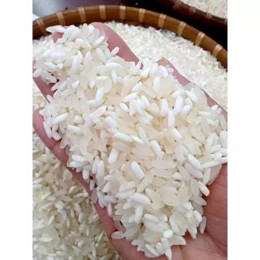 Nếp nương mèo Túi 1kg thơm ngon thượng hạng - Giá chỉ 48.000đ, giảm từ 60.960đ 4