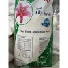 Nếp Thái hoa ly xanh 50kg - Dẻo mềm, thơm ngon cho xôi, bánh tét, bánh ú - Giá 720.000₫ 2