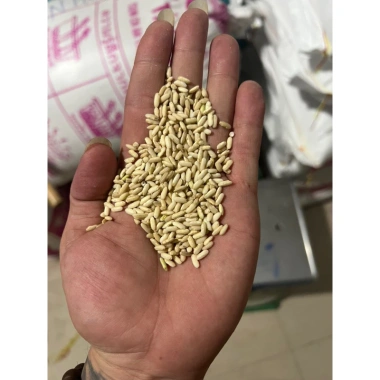 Nếp xay Miền Nam 10kg – Hạt dẻ thơm ngon, giảm giá tới 16%, chỉ 198.000₫ 2