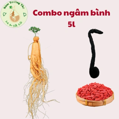 Ngâm Bình 5L - Nhân Sâm Trường Bạch + Nhục Thung Dung & Kỳ Tử 50g - 487.500 VND