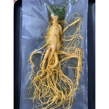 Ngâm Bình 5L - Nhân Sâm Trường Bạch + Nhục Thung Dung & Kỳ Tử 50g - 487.500 VND