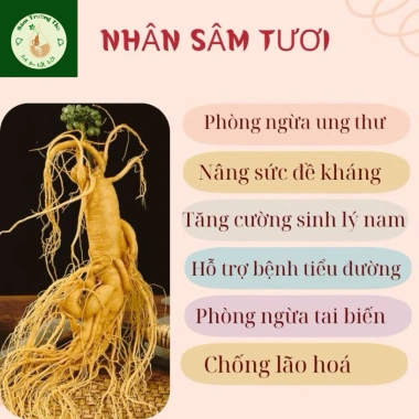 Ngâm Bình 5L - Nhân Sâm Trường Bạch + Nhục Thung Dung & Kỳ Tử 50g - 487.500 VND